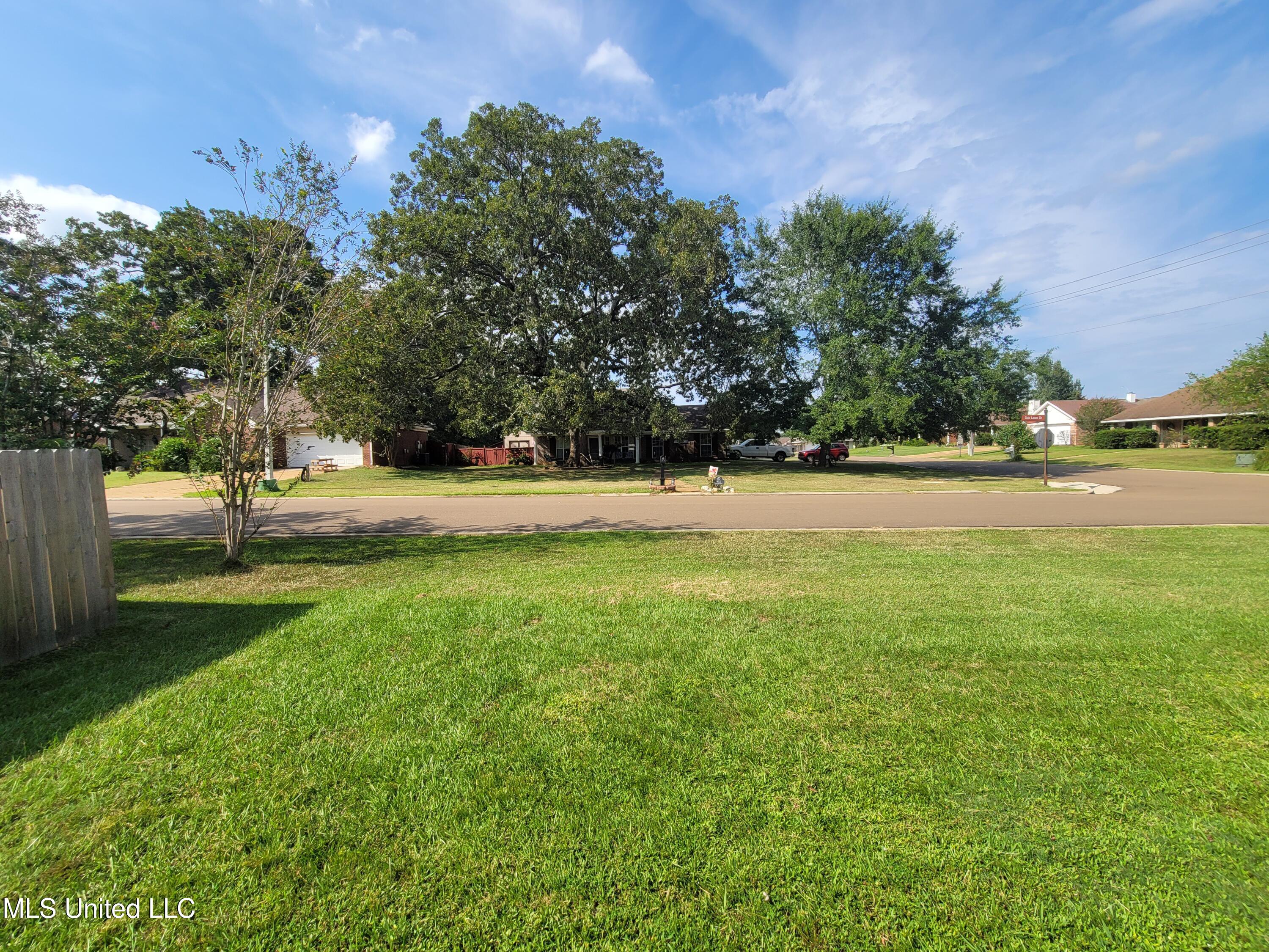 317 Willow Run Property Photo 49