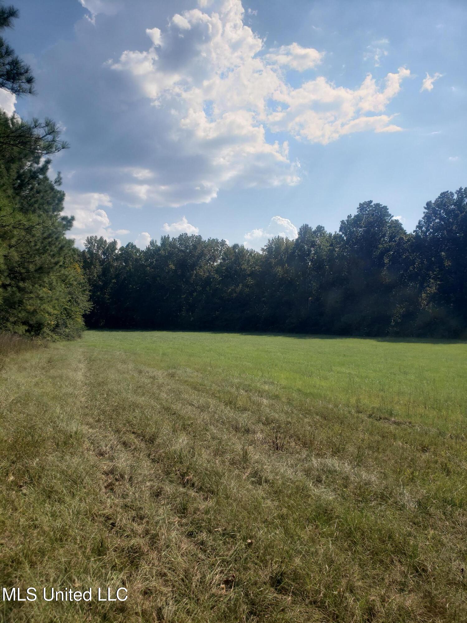 2313 South Frontage Road Property Photo 5