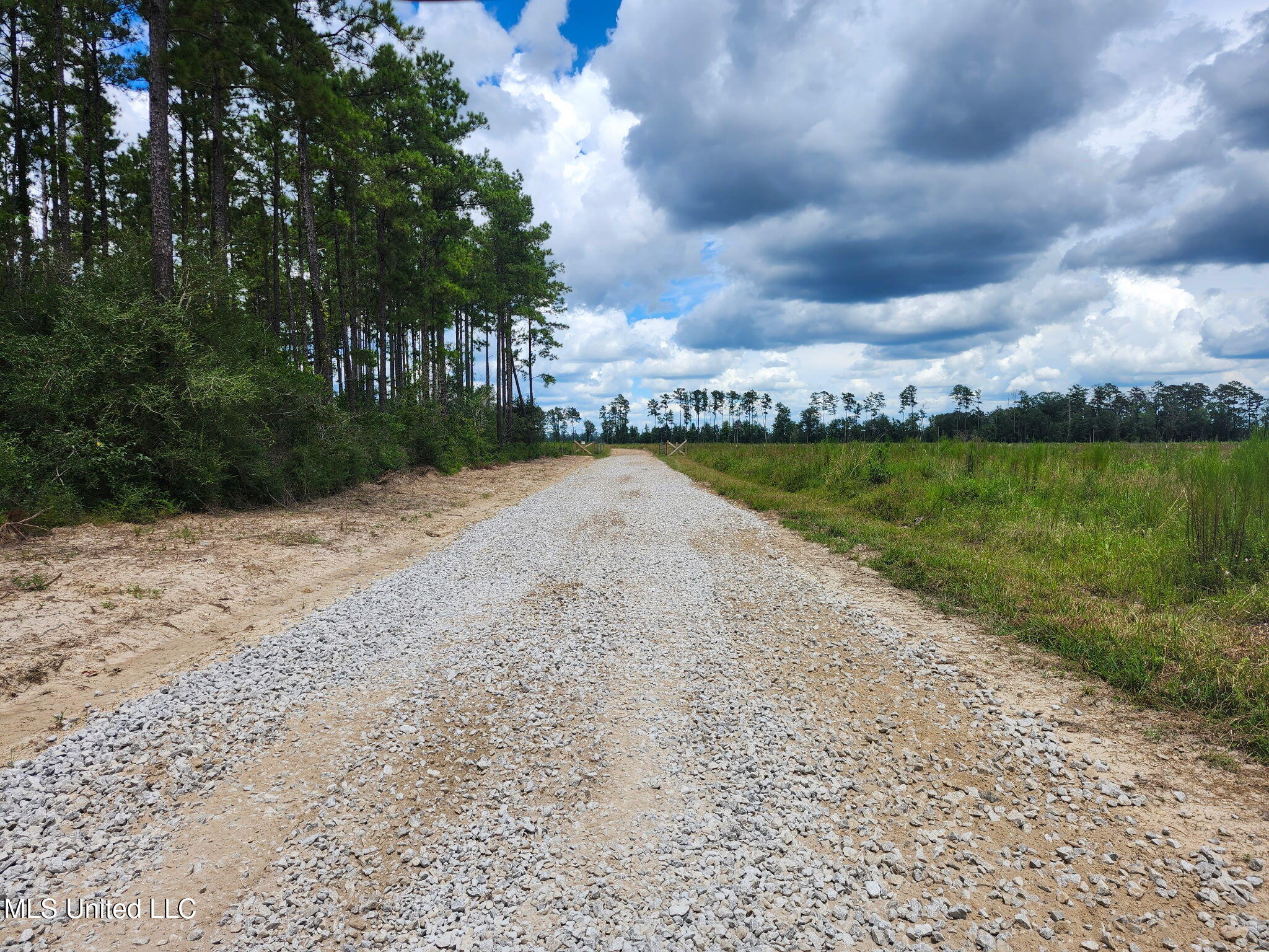 38774 S Mccarrol Rd Road Property Photo 3
