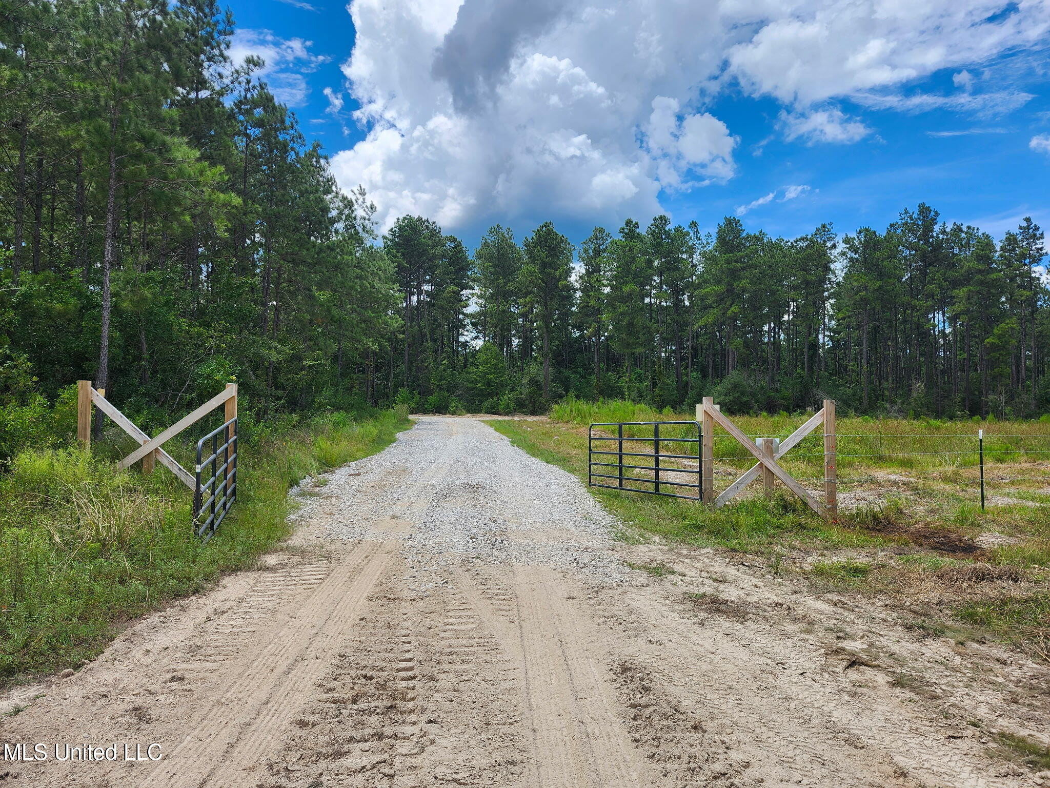 38774 S Mccarrol Rd Road Property Photo 6