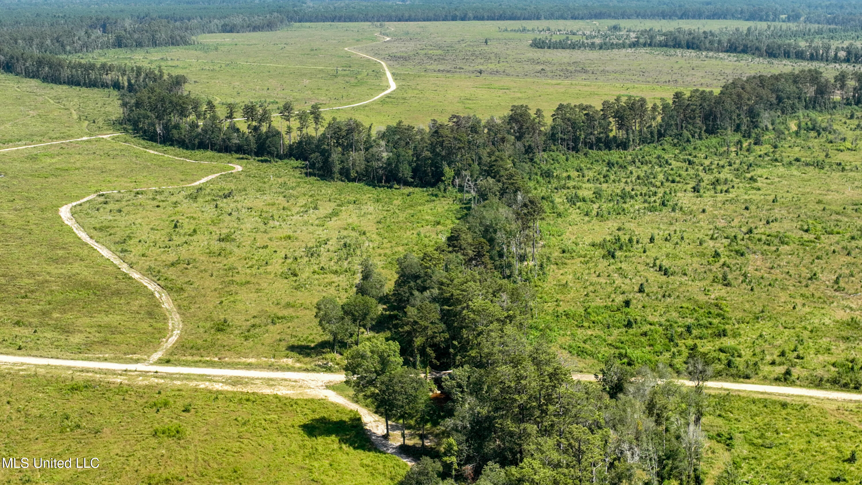 38774 S Mccarrol Rd Road Property Photo 16