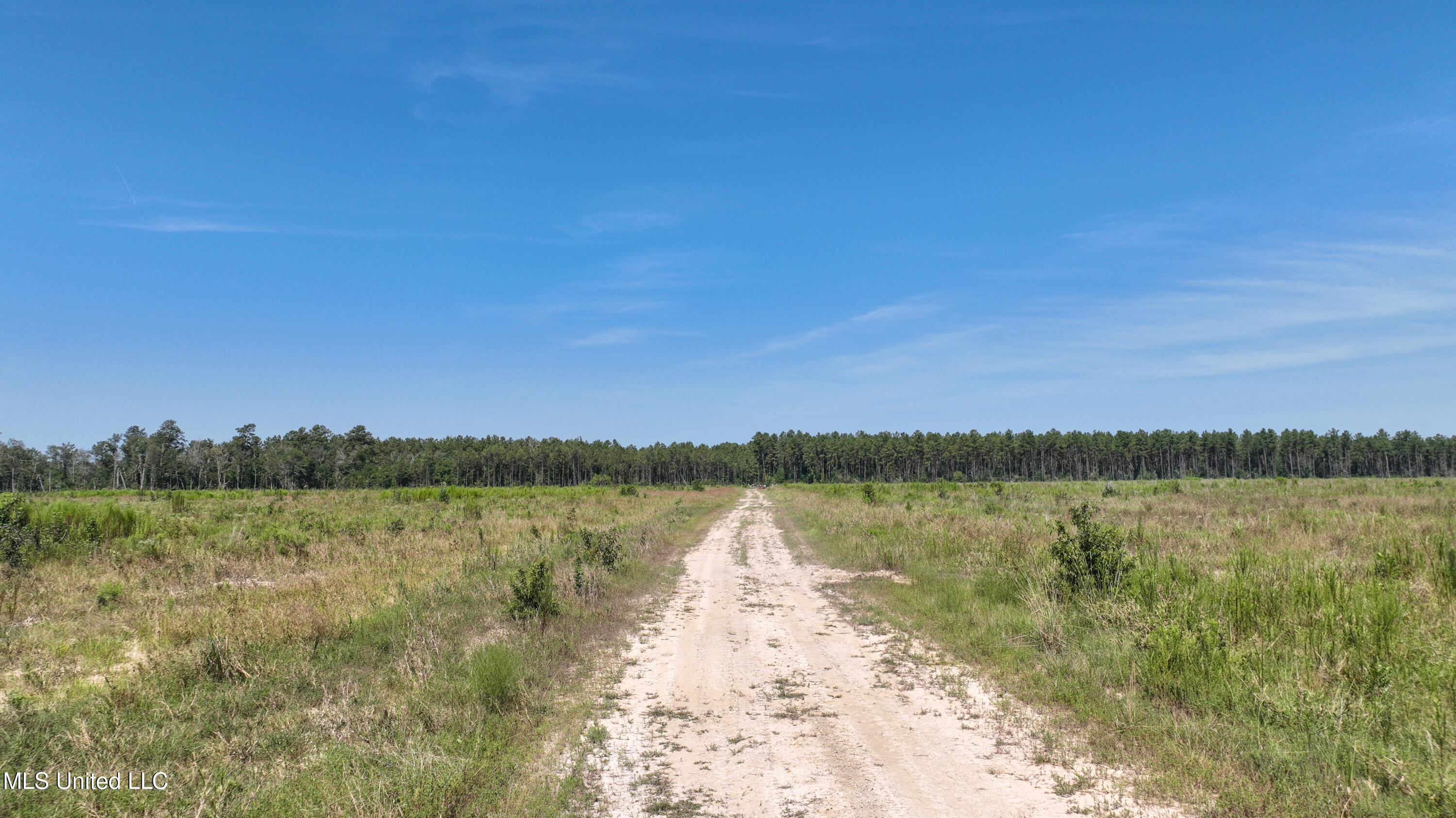 38774 S Mccarrol Rd Road Property Photo 17