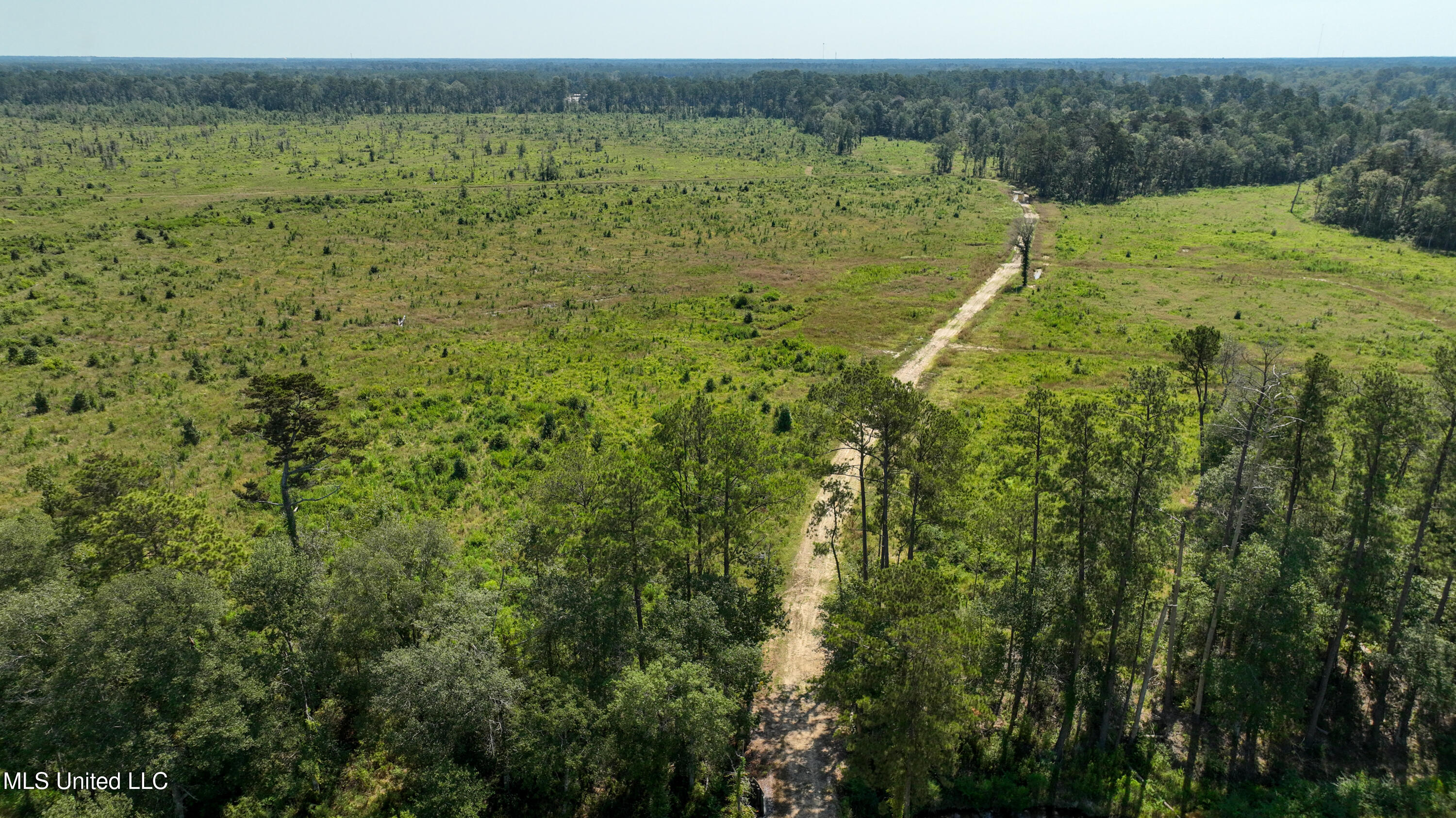 38774 S Mccarrol Rd Road Property Photo 19