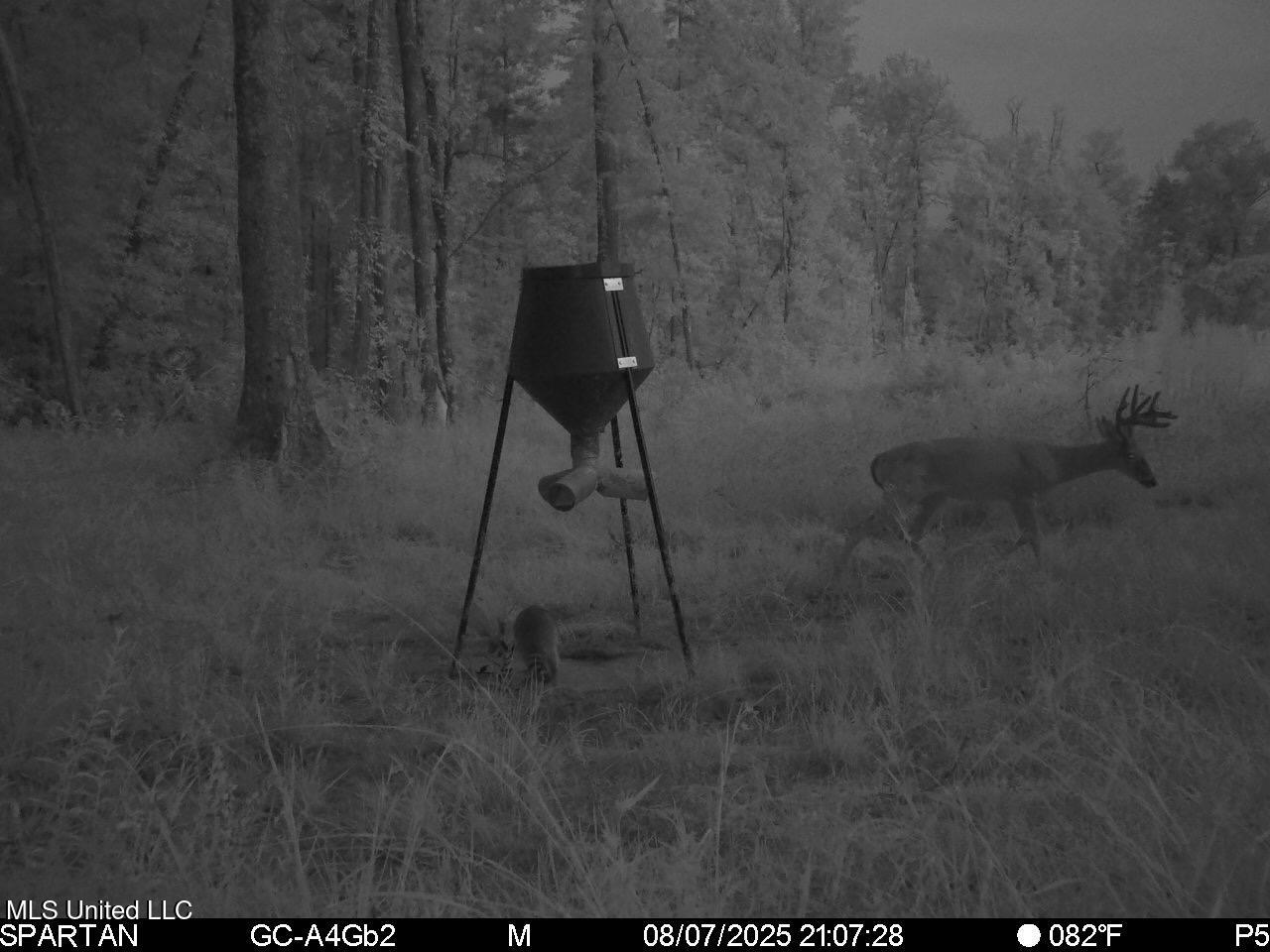 38774 S Mccarrol Rd Road Property Photo 23