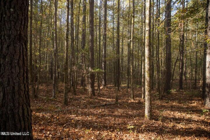 Vaughan Rd Road Property Photo 3