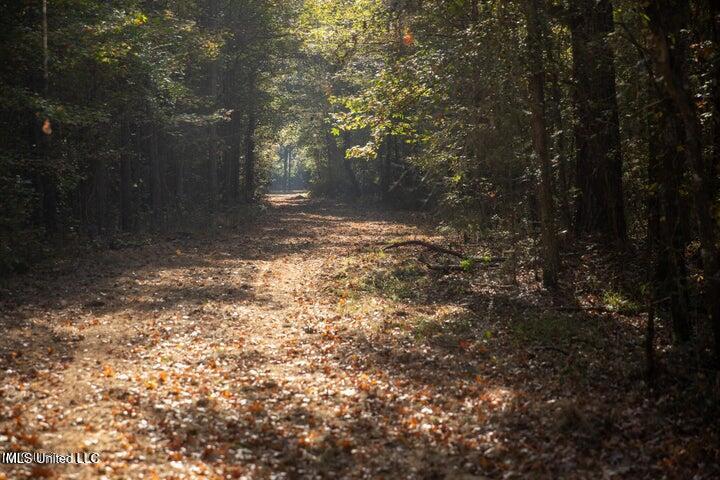 Vaughan Rd Road Property Photo 5