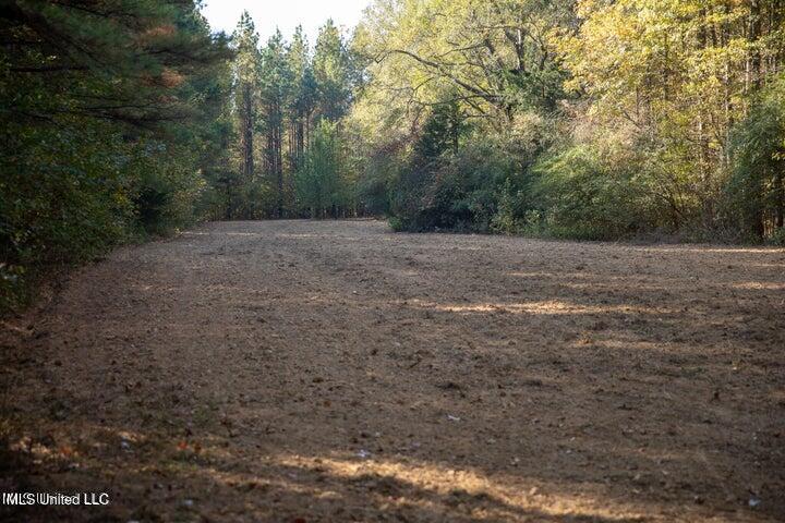 Vaughan Rd Road Property Photo 6