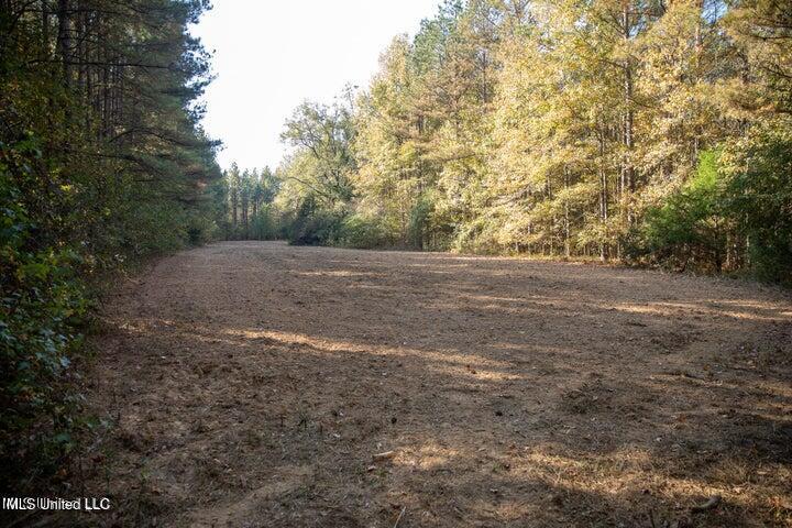 Vaughan Rd Road Property Photo 7