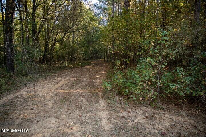 Vaughan Rd Road Property Photo 8