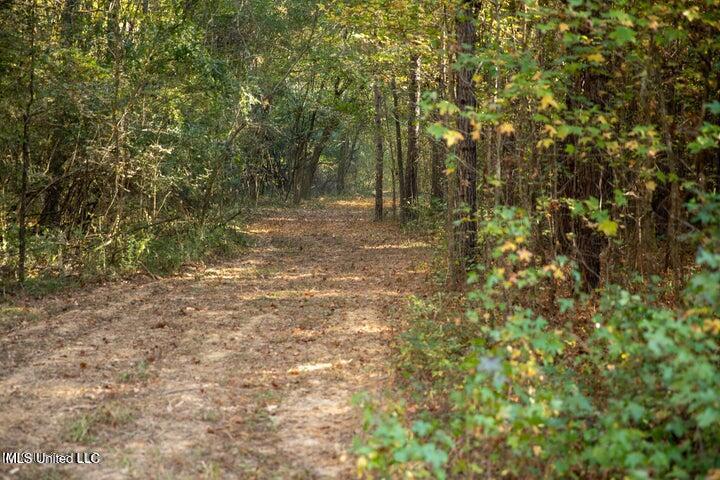 Vaughan Rd Road Property Photo 9