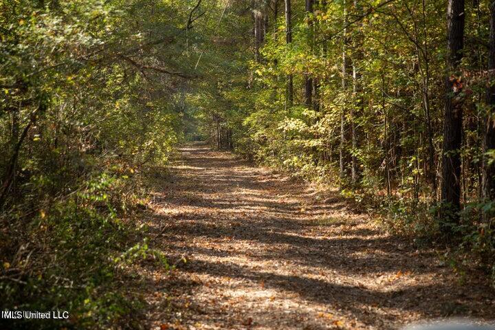 Vaughan Rd Road Property Photo 11