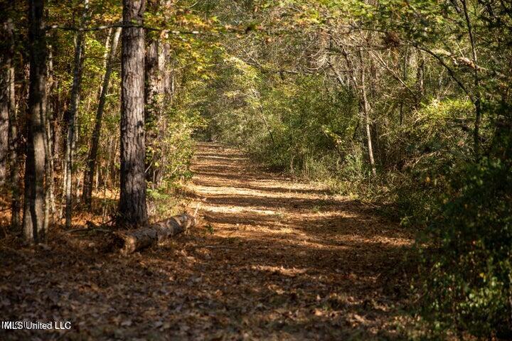 Vaughan Rd Road Property Photo 12