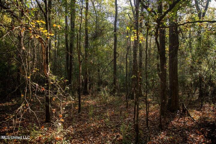 Vaughan Rd Road Property Photo 13