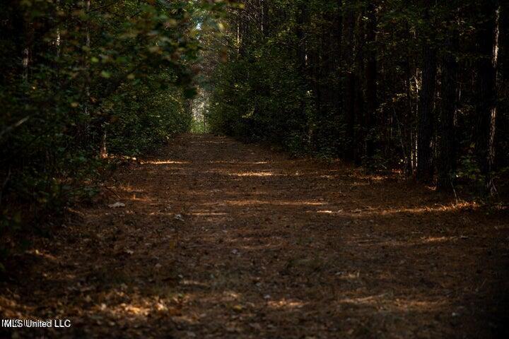 Vaughan Rd Road Property Photo 15