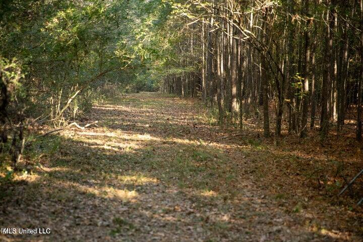 Vaughan Rd Road Property Photo 16