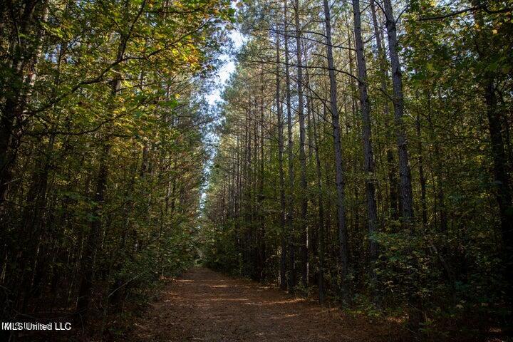 Vaughan Rd Road Property Photo 17