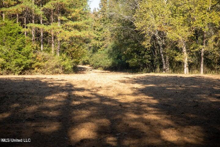 Vaughan Rd Road Property Photo 19