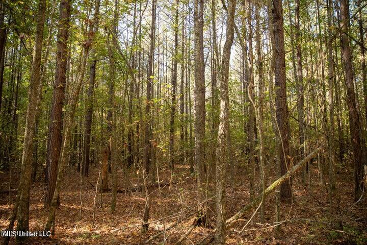 Vaughan Rd Road Property Photo 20