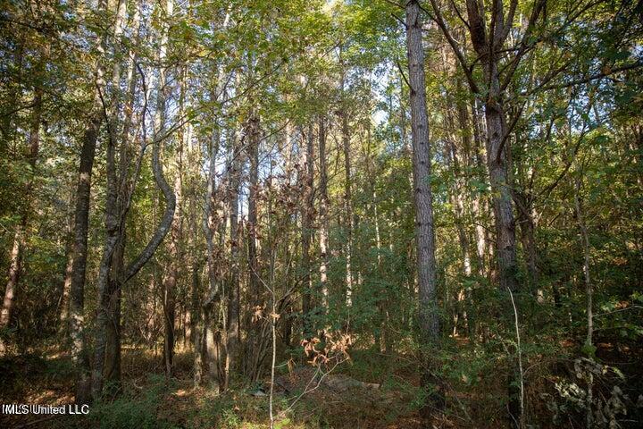 Vaughan Rd Road Property Photo 21