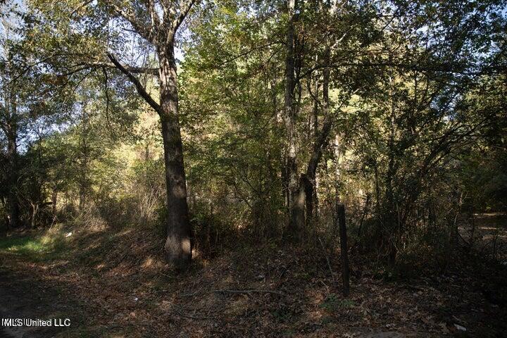 Vaughan Rd Road Property Photo 24