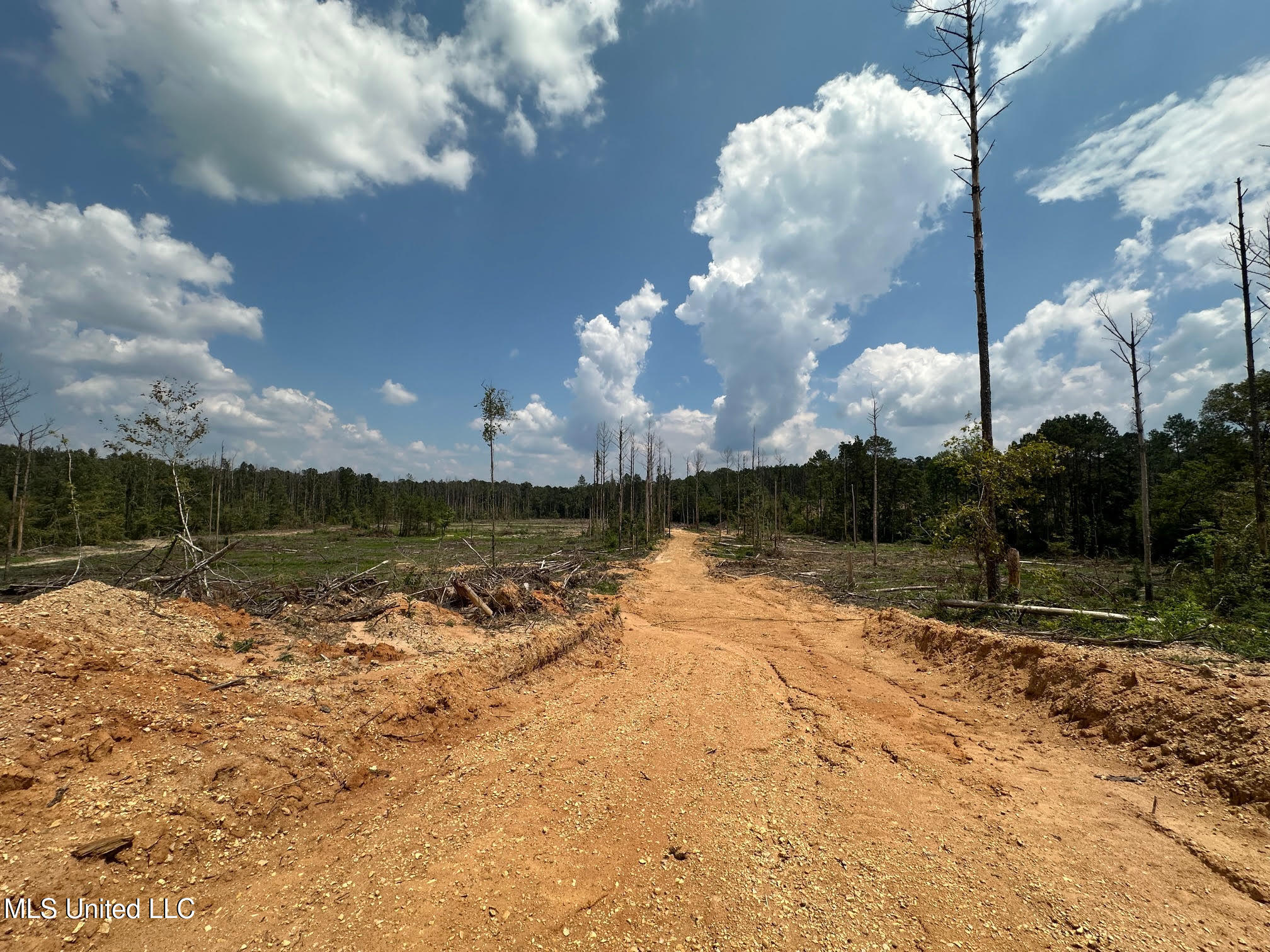 0 Whitetown Lane Property Photo 8