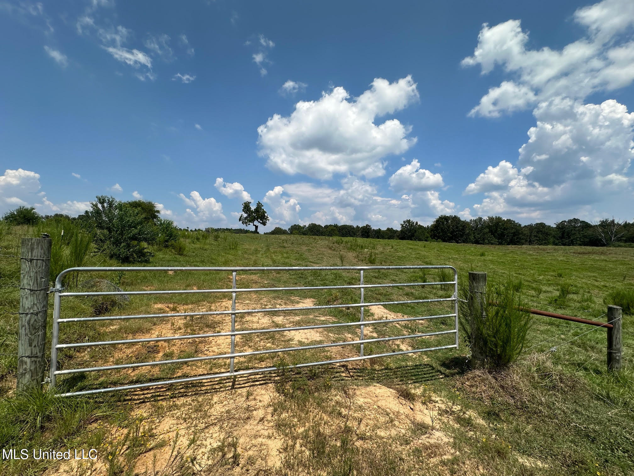 0 Whitetown Lane Property Photo 16