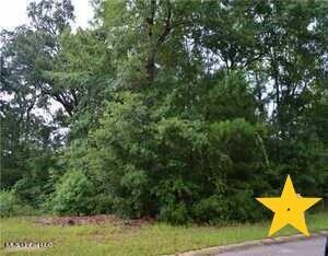Creek Drive Property Photo 4