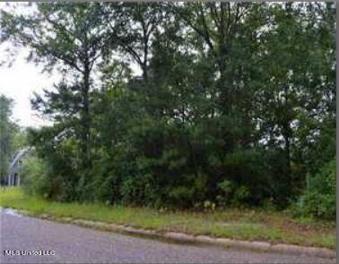Creek Drive Property Photo 5