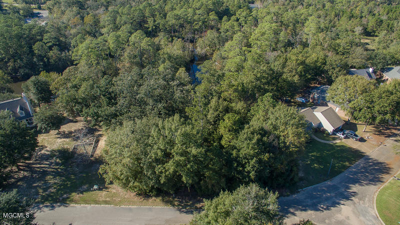 Creek Drive Property Photo 6