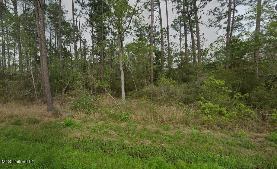 0 3rd Street Property Photo 1
