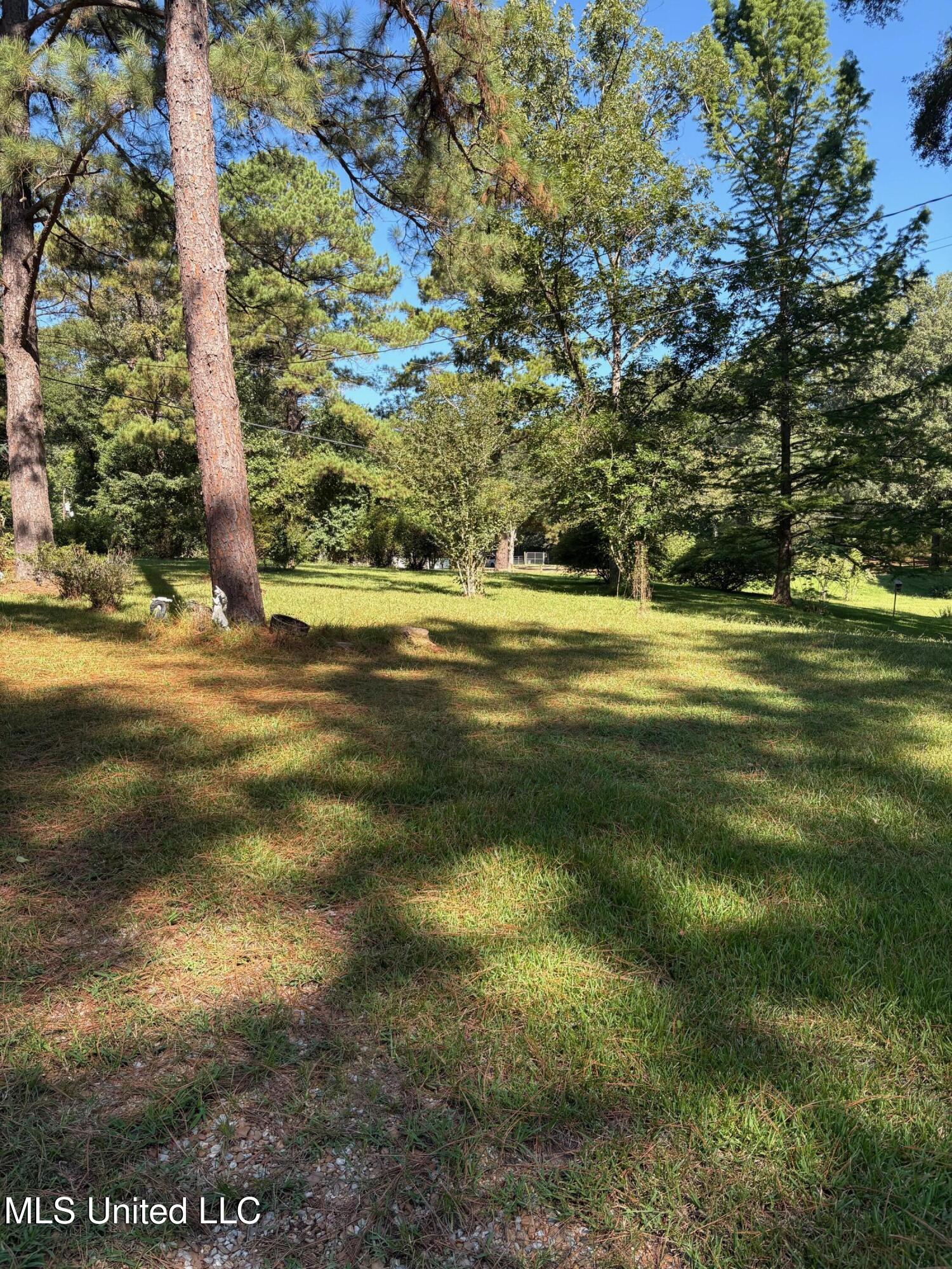 77 Magnolia Acres Road Property Photo 2