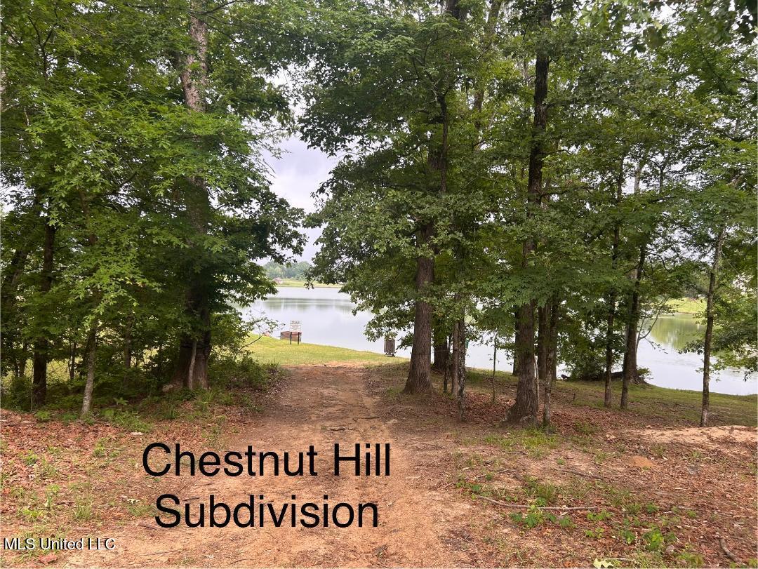 Chestnut Hill Property Photo 1