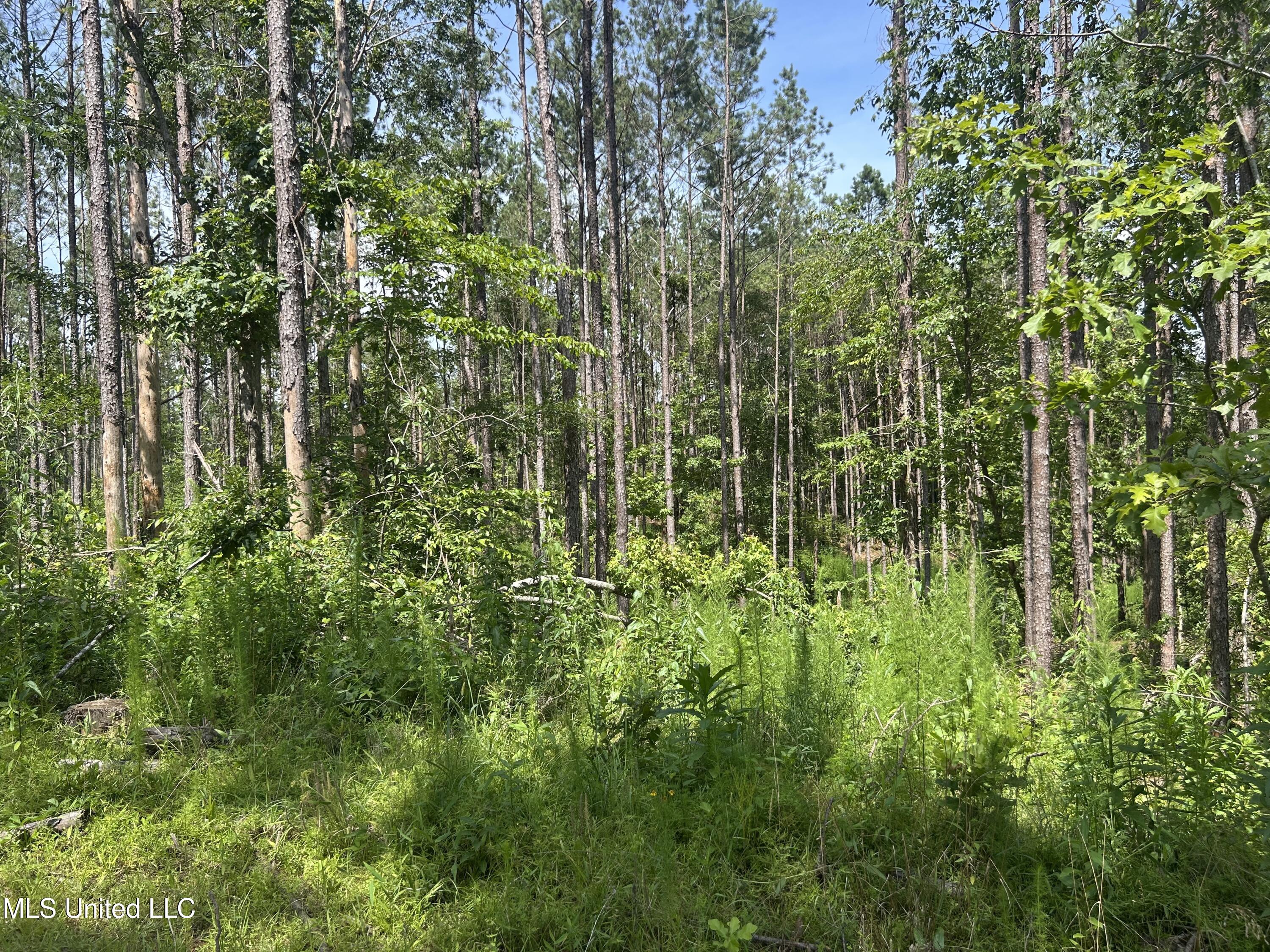 Bonds Road Property Photo 3