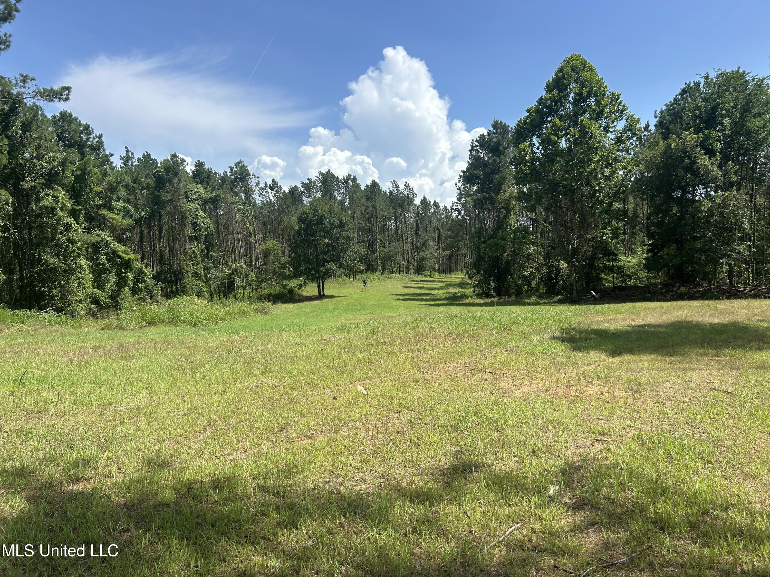 Bonds Road Property Photo 4
