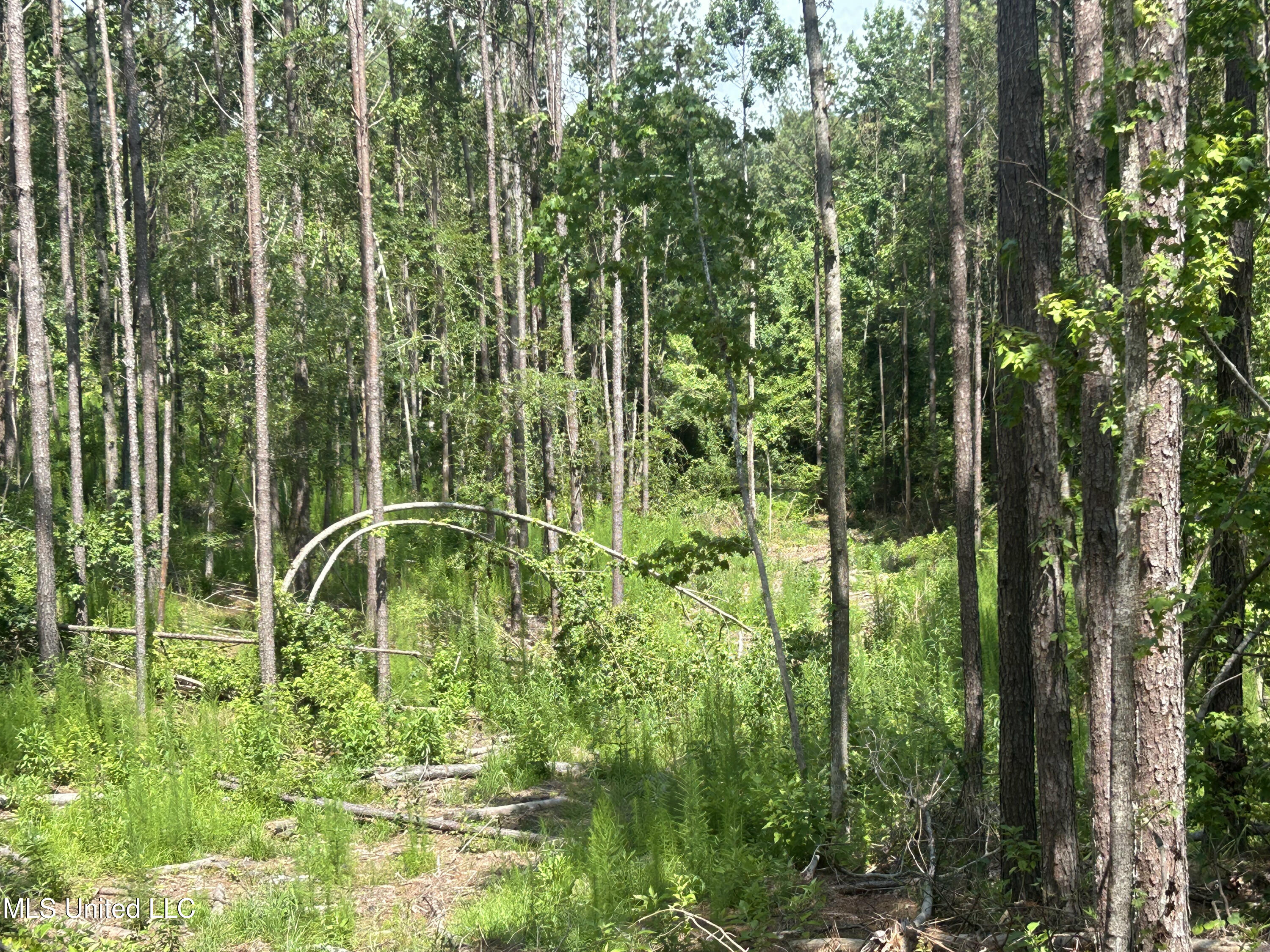 Bonds Road Property Photo 6