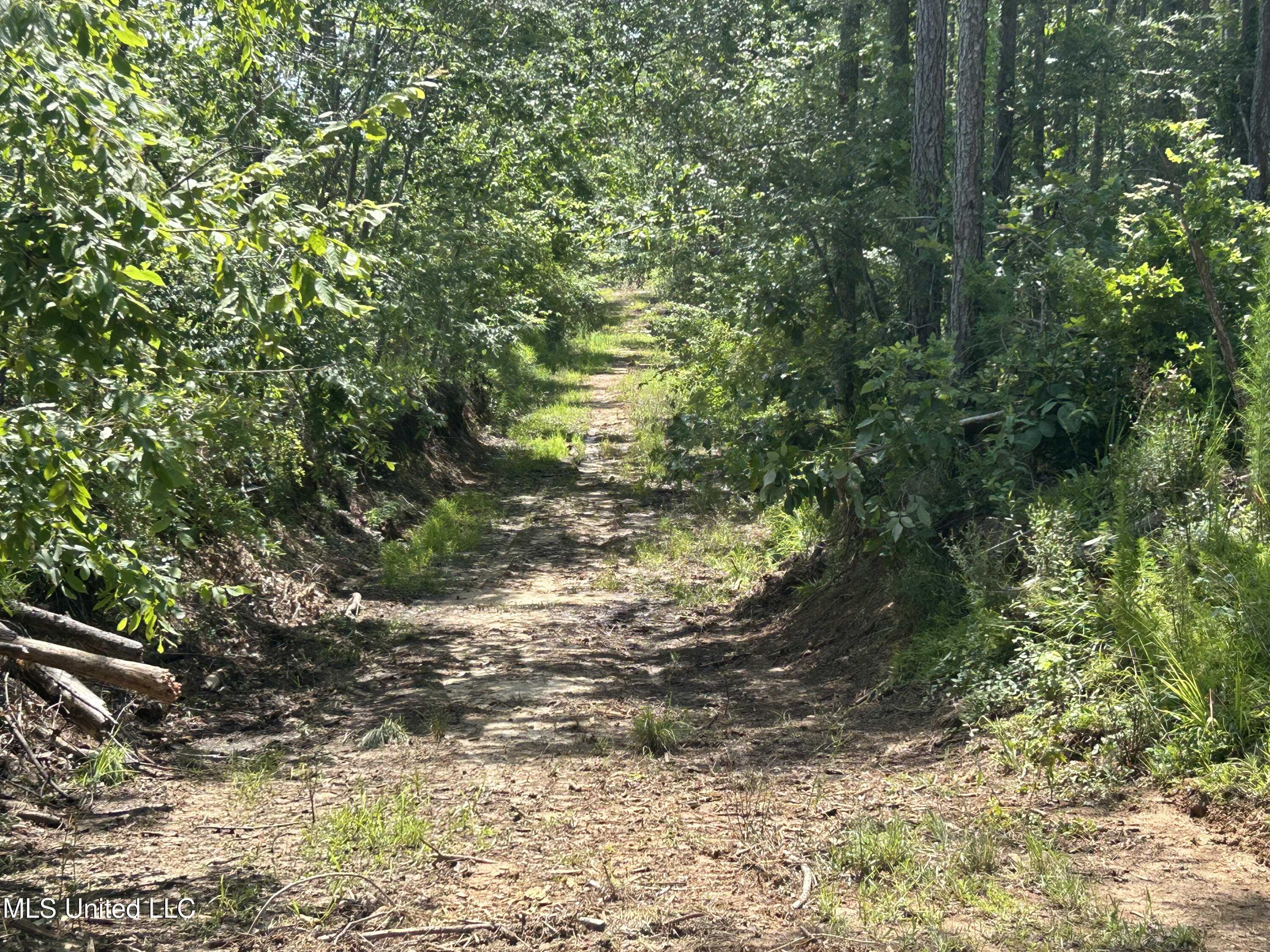Bonds Road Property Photo 8