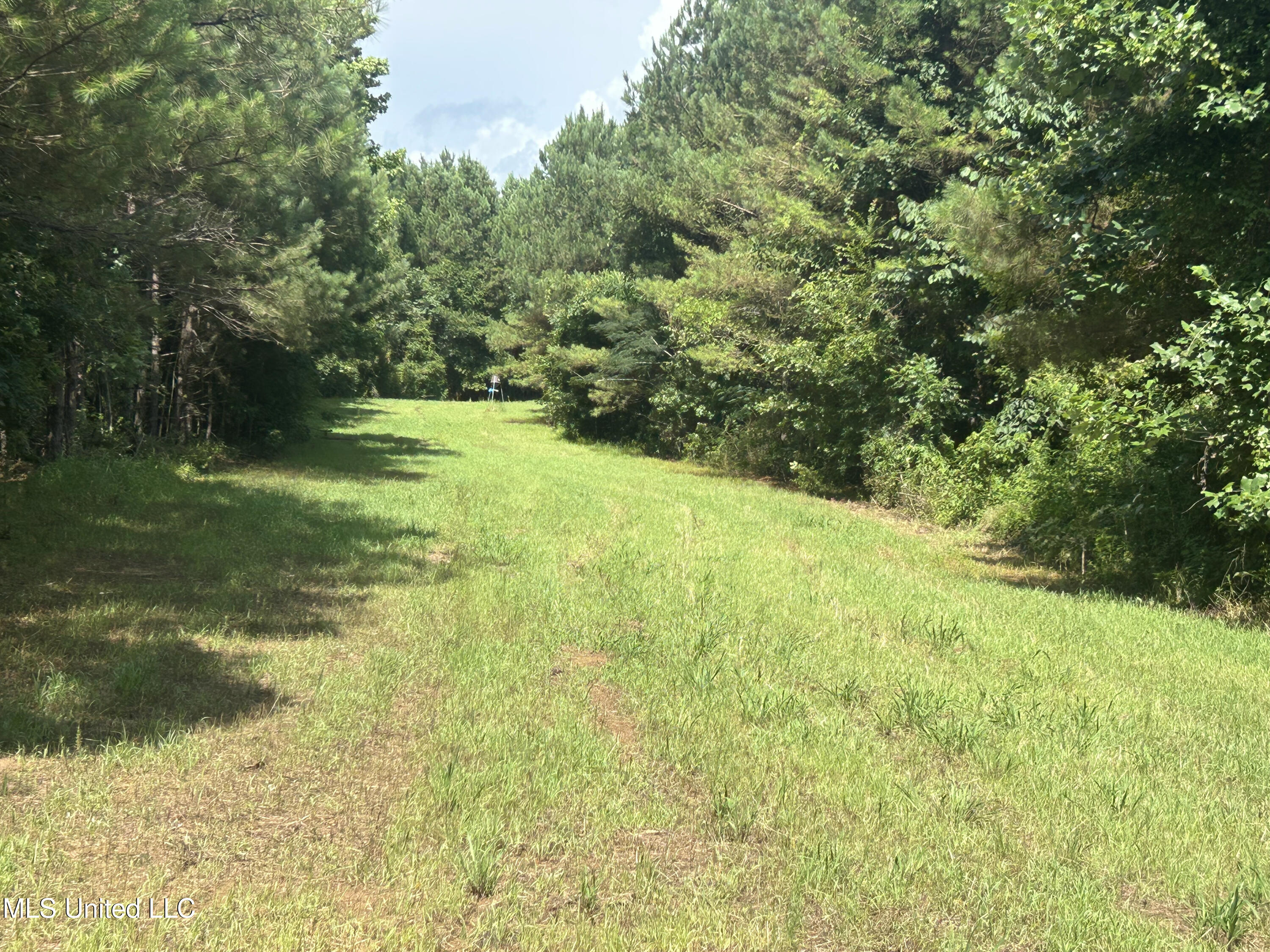 Bonds Road Property Photo 9
