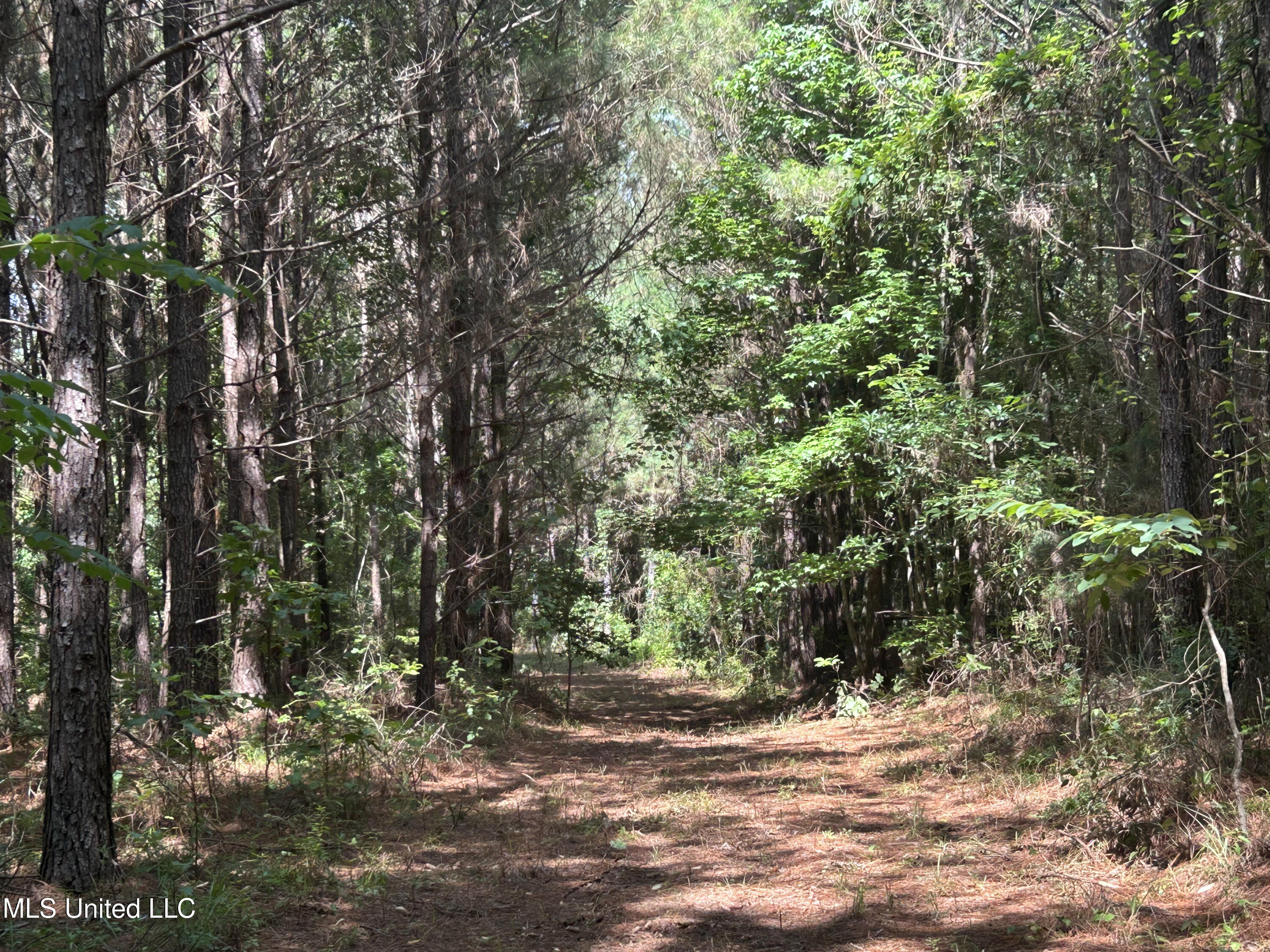 Bonds Road Property Photo 11