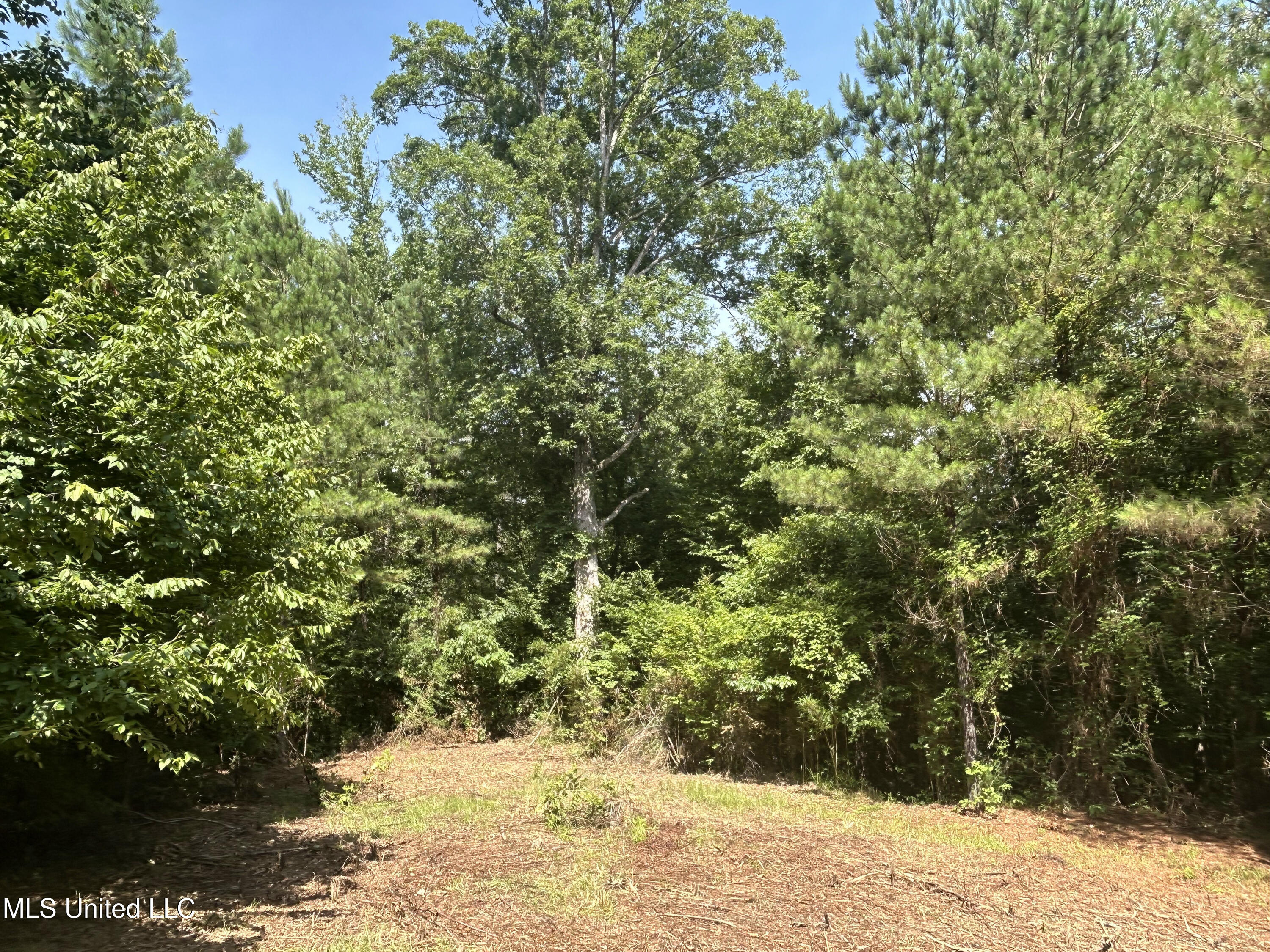 Bonds Road Property Photo 12