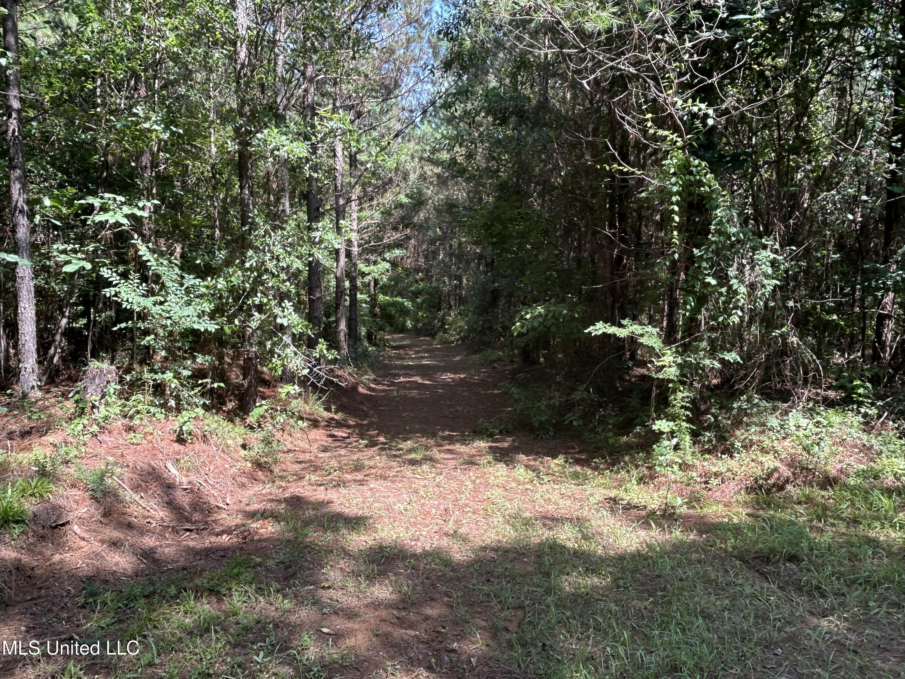 Bonds Road Property Photo 13