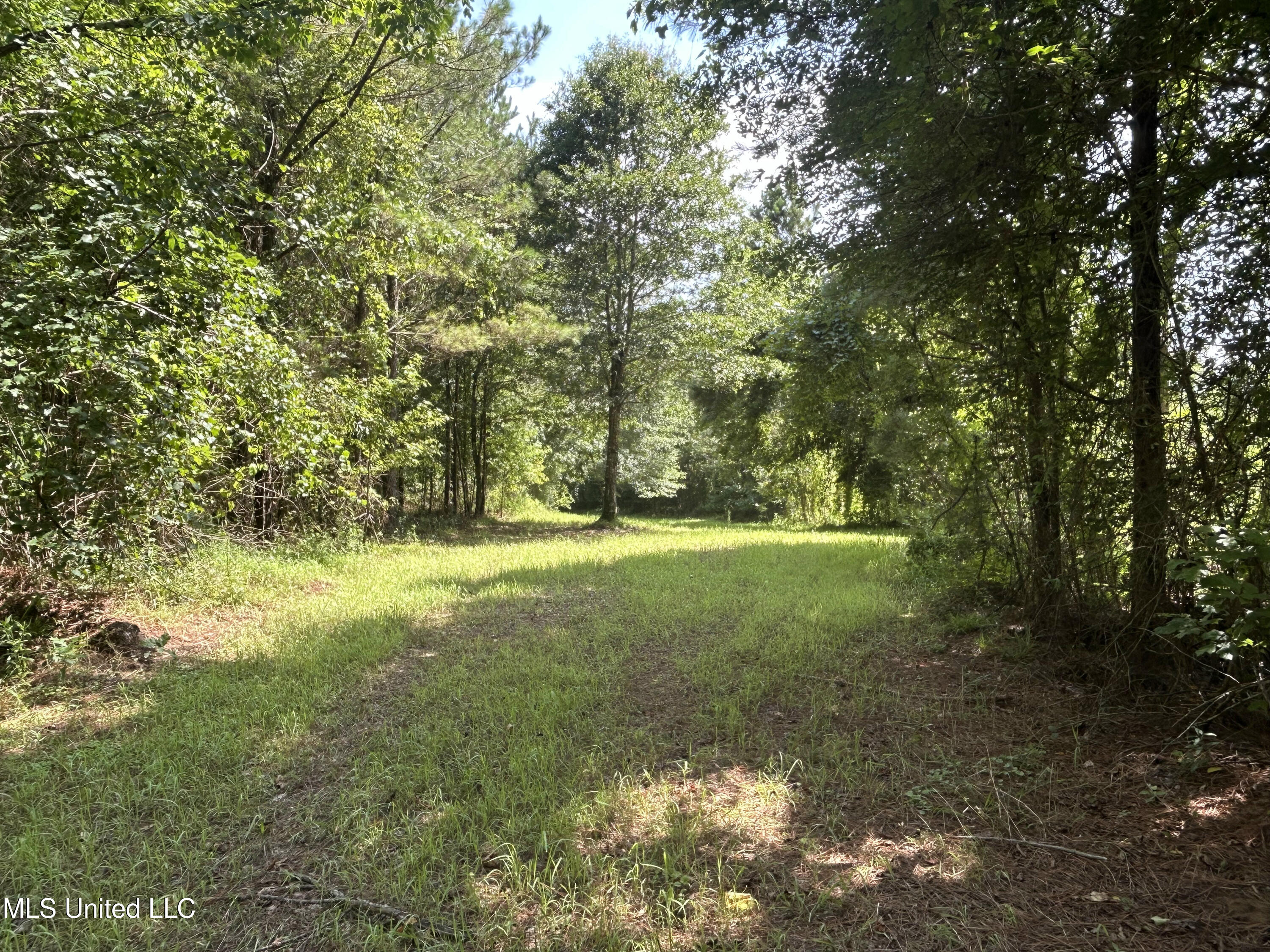 Bonds Road Property Photo 14