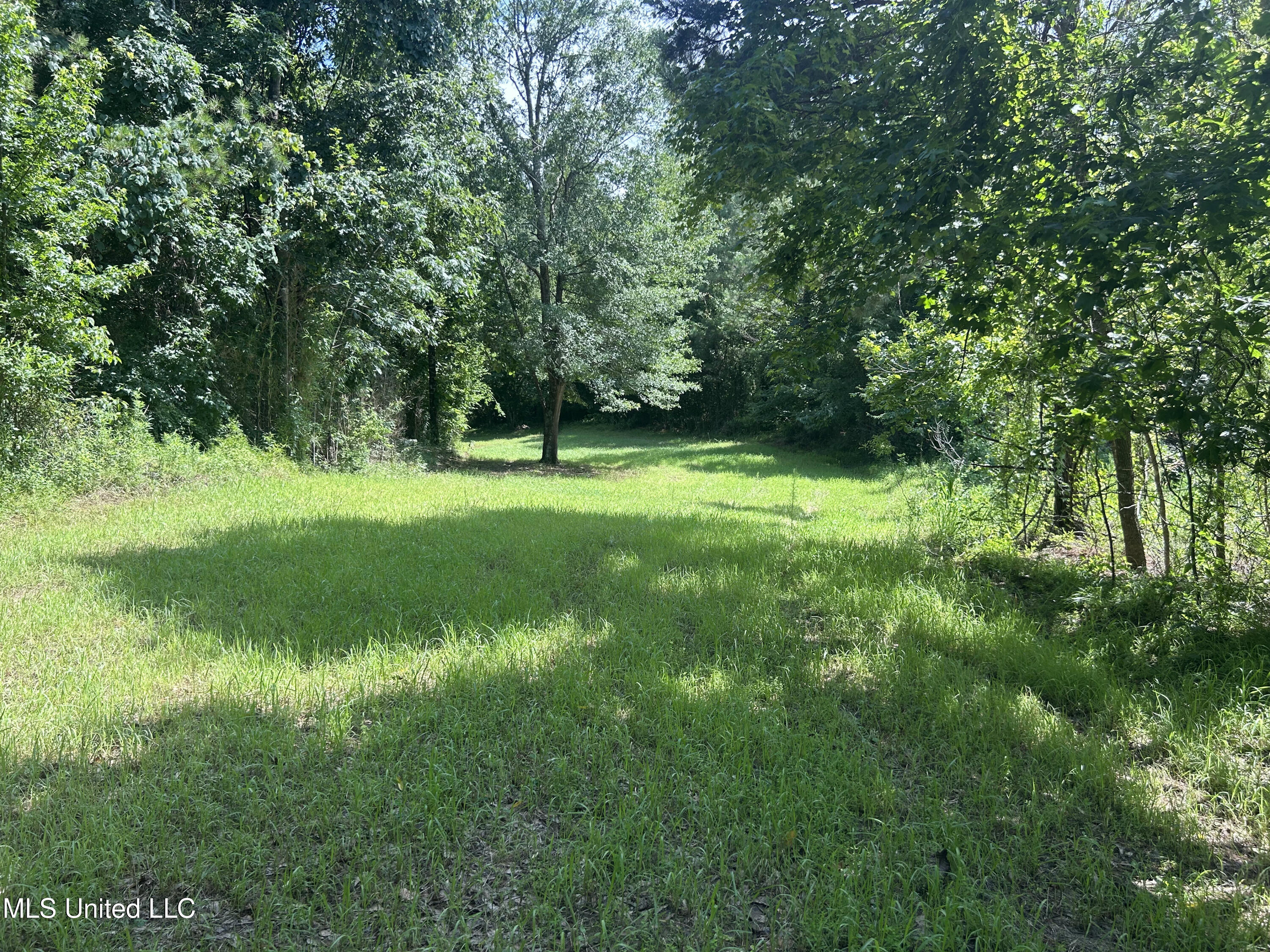 Bonds Road Property Photo 15