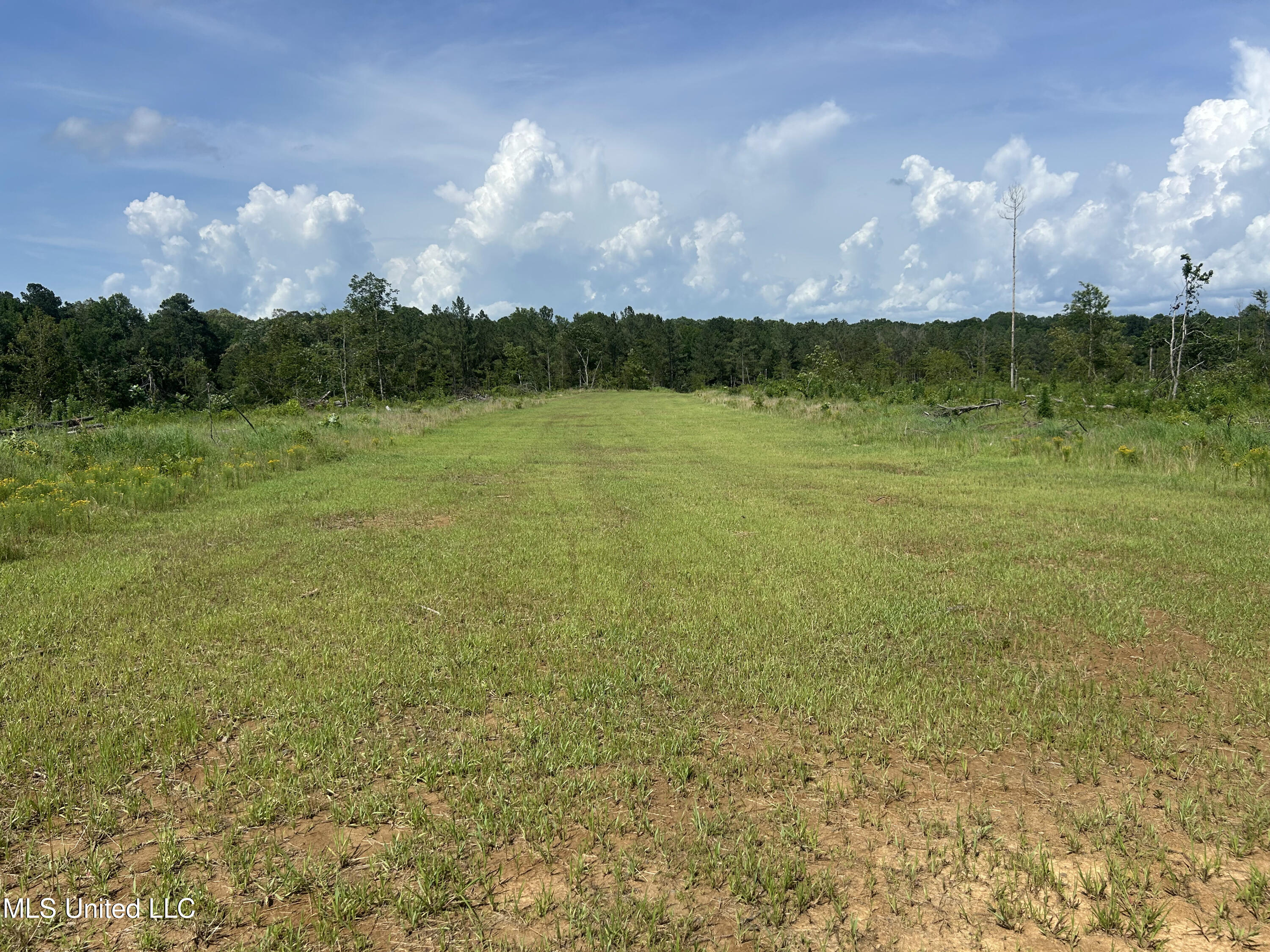Bonds Road Property Photo 16