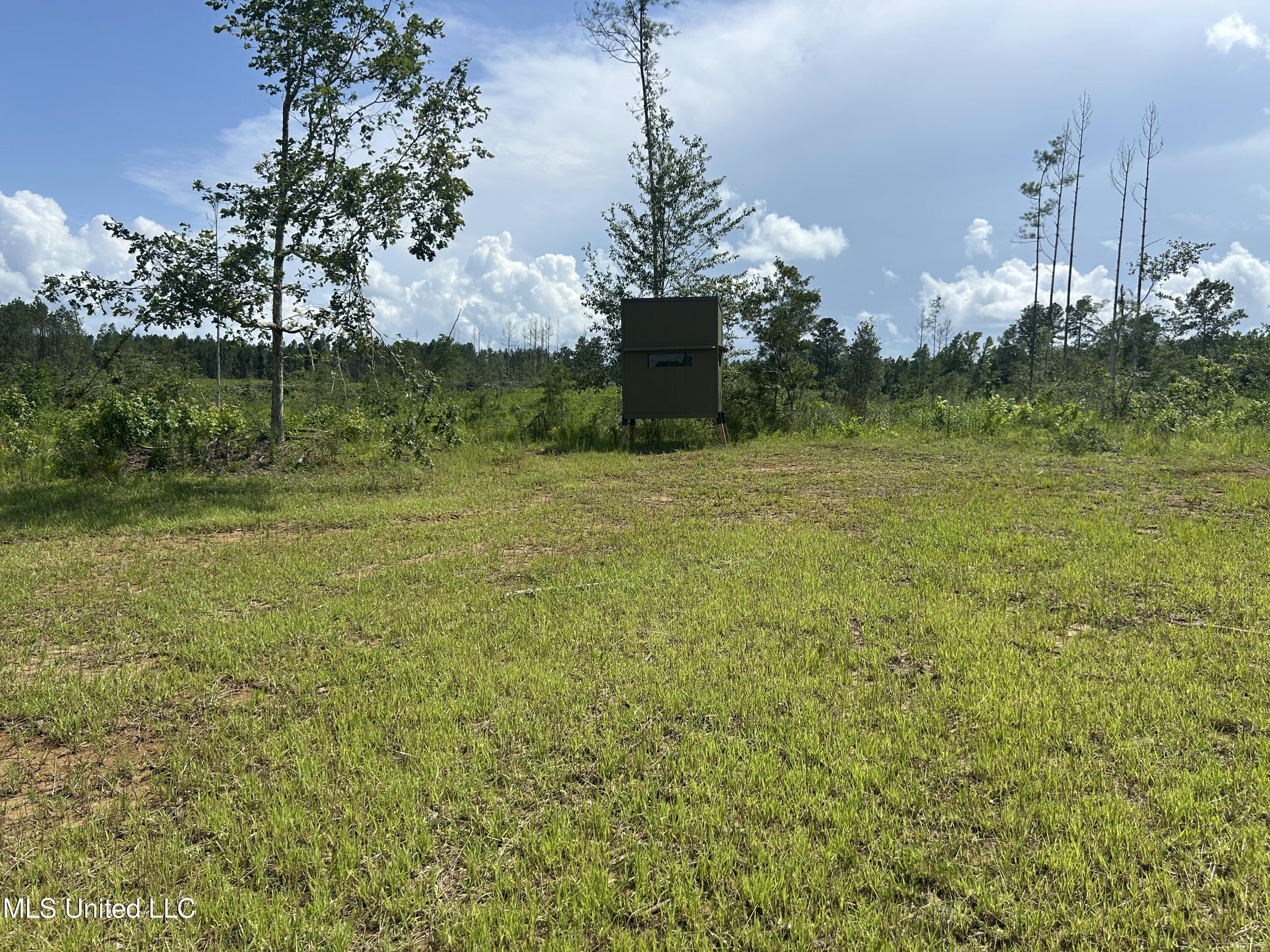 Bonds Road Property Photo 17
