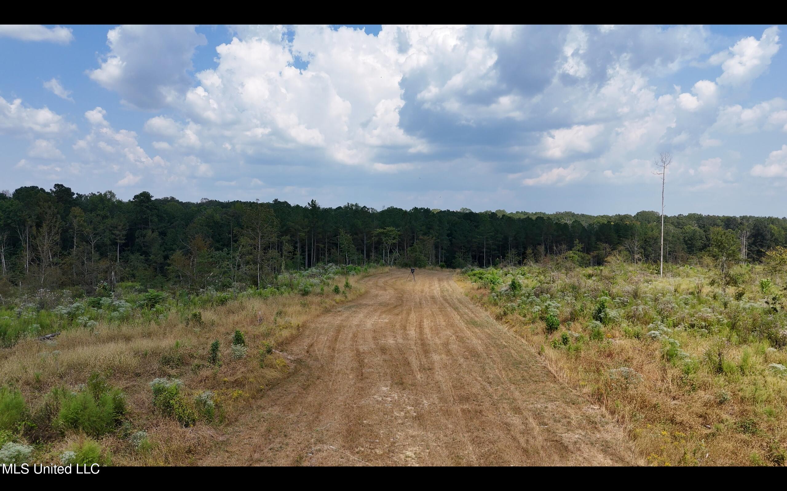 Bonds Road Property Photo 18