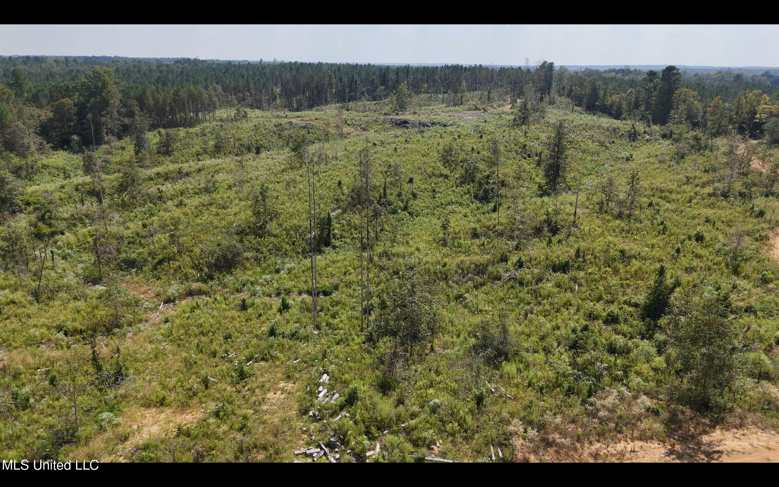 Bonds Road Property Photo 19