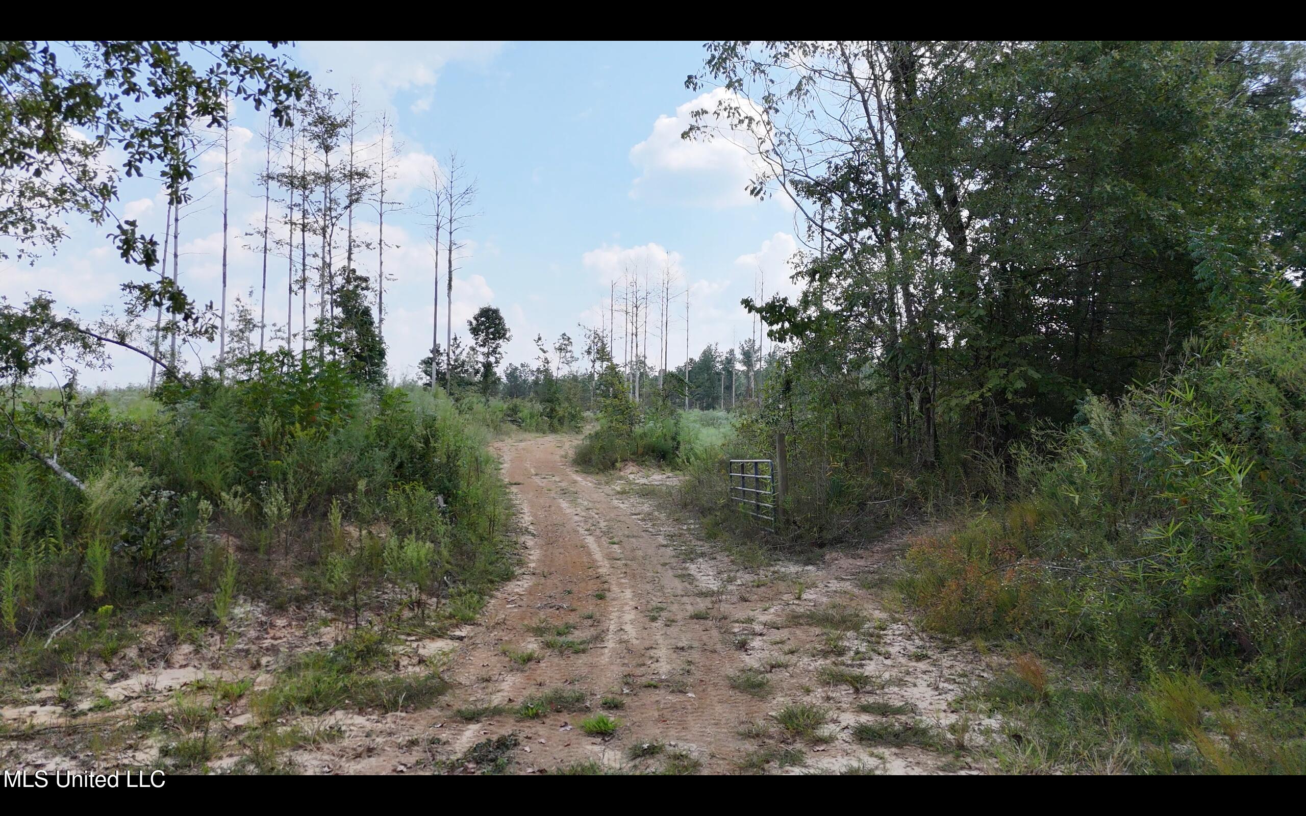 Bonds Road Property Photo 20