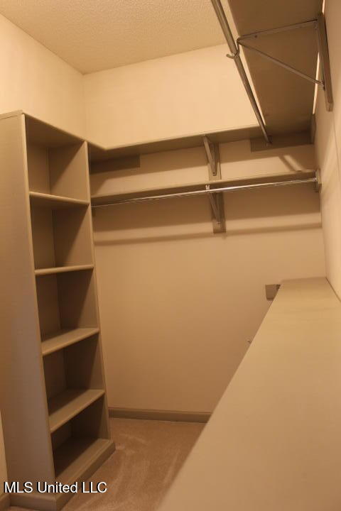 3590 Tanna Cove Property Photo 14