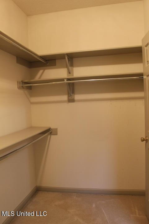 3590 Tanna Cove Property Photo 15