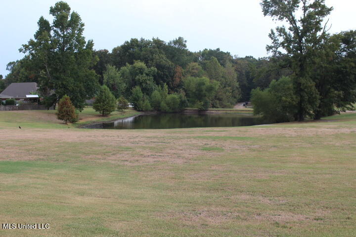 3590 Tanna Cove Property Photo 22